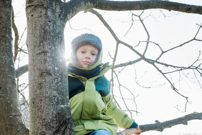 Portrait of young boy sitting up a tree on a beautiful day in winter