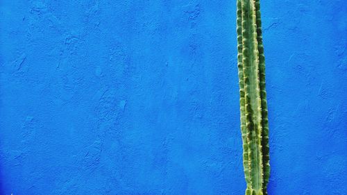 Full frame shot of blue background