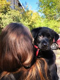 Portrait of black dog