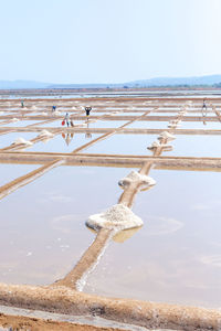 Salt workers in india