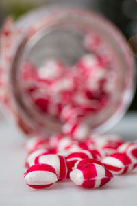 Close-up of pink flower on table