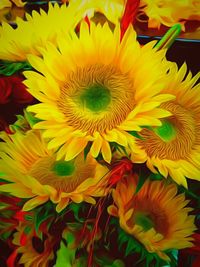 Macro shot of sunflower