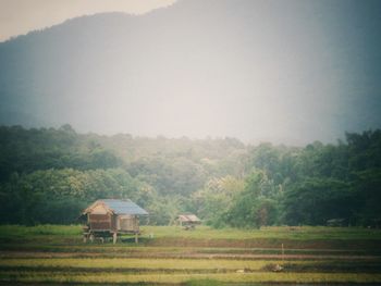 Scenic view of farm against sky