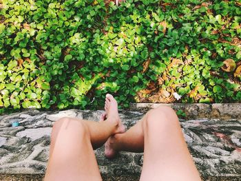 Low section of young woman sitting on retaining wall by plants