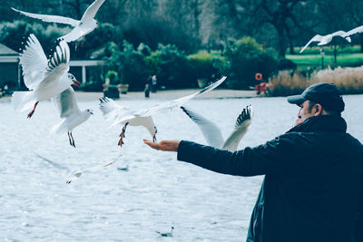 Low angle view of seagulls flying over water