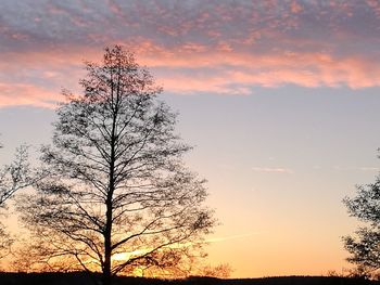 View of tree against dramatic sky