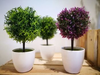 Close-up of flower vase on table