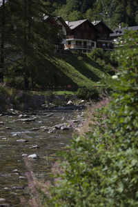 Scenic view of river amidst trees and houses in forest