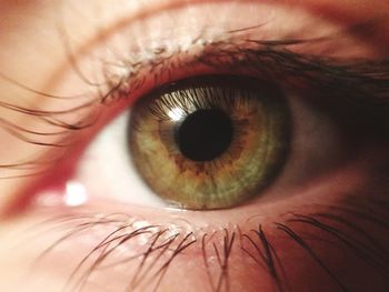 Cropped image of human eye