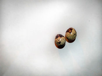 High angle view of bread on white background