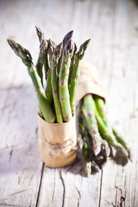 Close-up of plant on table