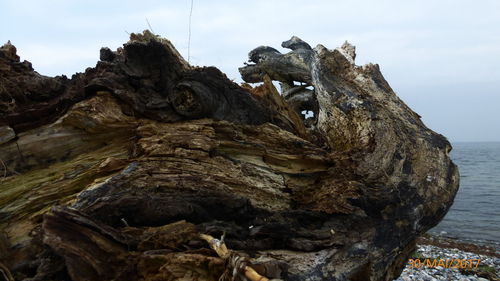 Close-up of rock in sea against sky
