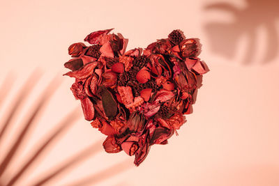 Close-up of wilted plant against white background