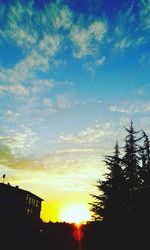 Silhouette trees against sky at sunset