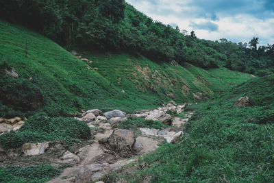 Scenic view of land against sky