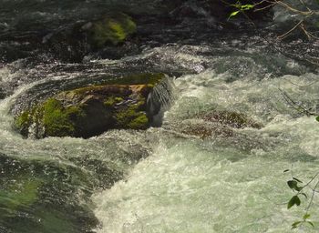 Stream flowing through rocks