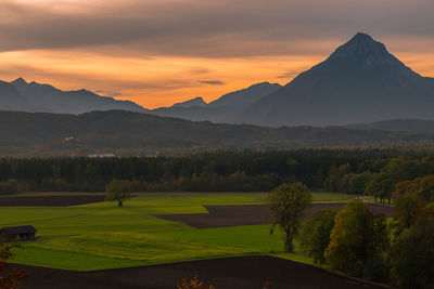 Scenic view of golf course against sky during sunset