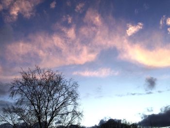 Low angle view of bare trees against cloudy sky