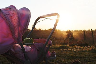 Baby in carriage against sky