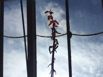 Low angle view of metal structure against sky