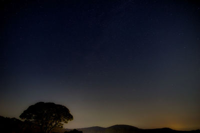 Low angle view of silhouette trees against sky at night