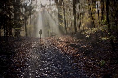 Senior woman walking on footpath in forest