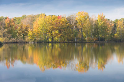 Scenic view of lake by trees against sky