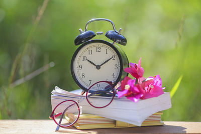 Close-up of pink flowers on table