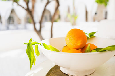 Orange fruits in a vase in moroccan riad