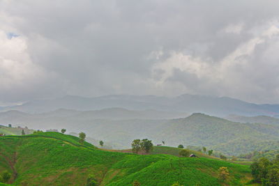Scenic view of field against sky