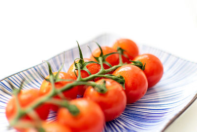 Close-up of tomatoes growing on table