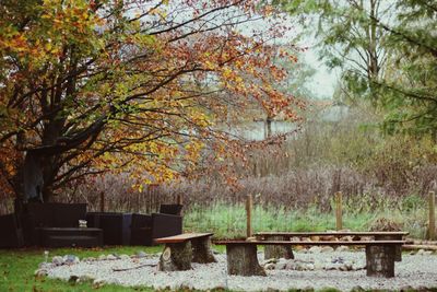 Trees on landscape during autumn