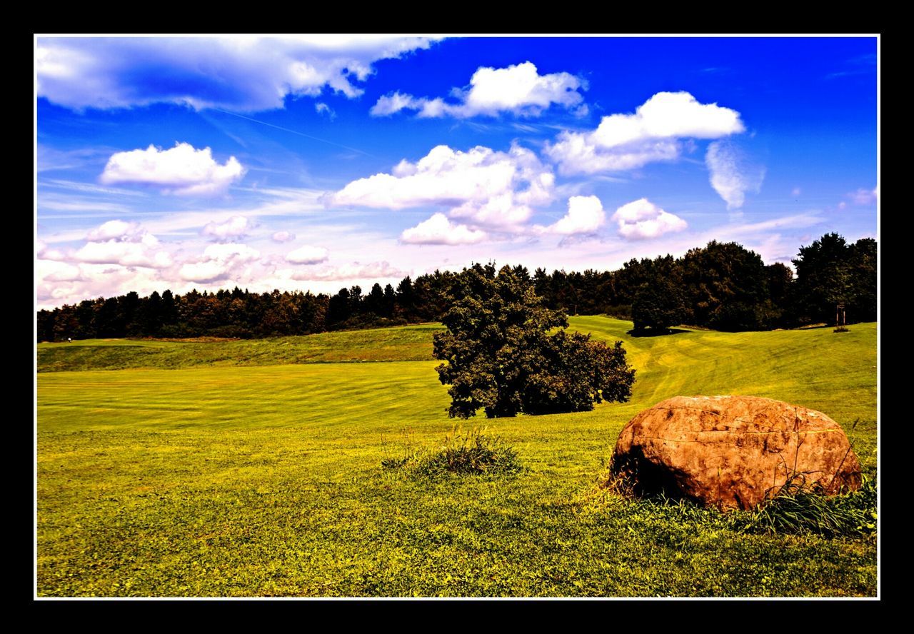 transfer print, landscape, sky, field, tranquil scene, grass, tranquility, auto post production filter, scenics, beauty in nature, tree, cloud - sky, nature, cloud, growth, rural scene, grassy, green color, horizon over land, non-urban scene