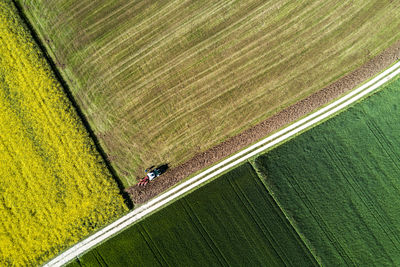 High angle view of agricultural field