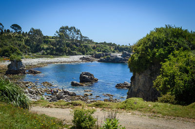 Scenic view of landscape against clear blue sky