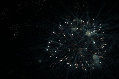 Low angle view of firework display against sky at night