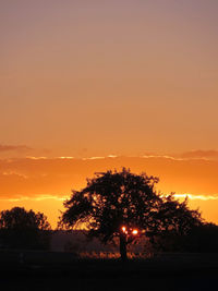 Silhouette trees against sky during sunset