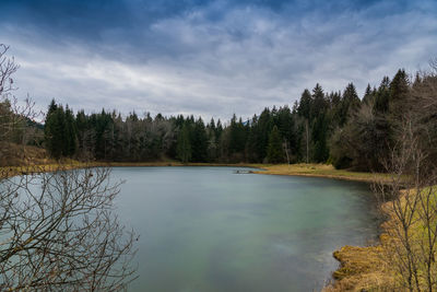 Scenic view of lake in forest against sky