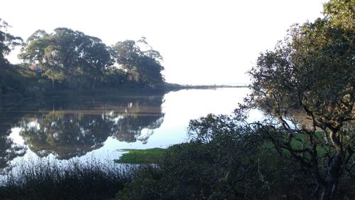 Reflection of trees in lake against sky