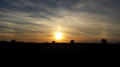 Silhouette trees against sky during sunset