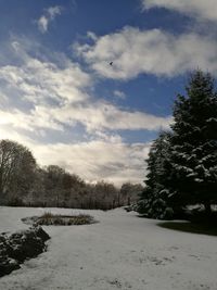 Snow covered trees against sky