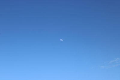 Low angle view of moon against blue sky