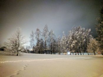 Trees on snow covered field against sky