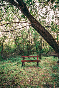 Empty bench in park