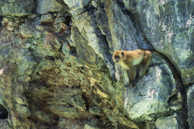 View of a rock