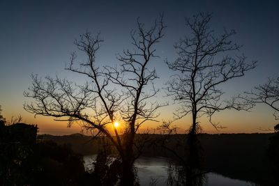 Silhouette bare tree by lake against sky during sunset