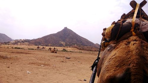 Scenic view of desert against sky