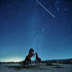 Full length of people on land against sky at night