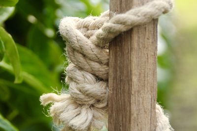 Close-up of tied rope on wood