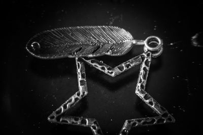 Close-up of insect on glass